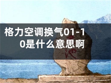 格力空调换气01-10是什么意思啊