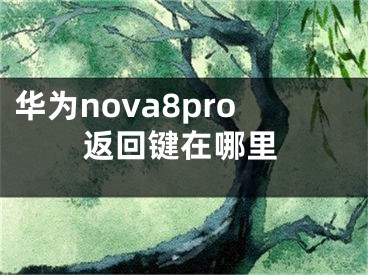 华为nova8pro返回键在哪里