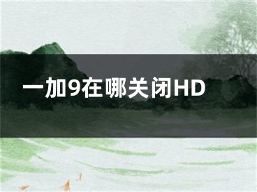 一加9在哪关闭HD