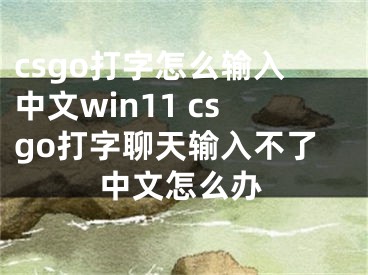 csgo打字怎么输入中文win11 csgo打字聊天输入不了中文怎么办