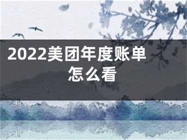 2022美团年度账单怎么看