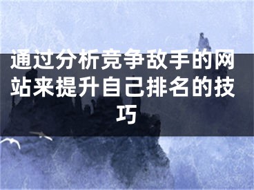 通过分析竞争敌手的网站来提升自己排名的技巧