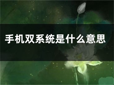 手机双系统是什么意思