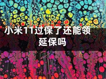 小米11过保了还能领延保吗