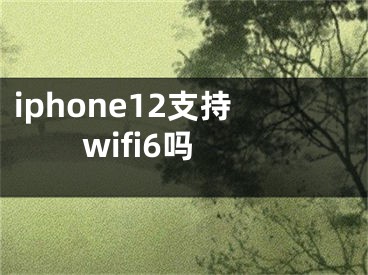 iphone12支持wifi6吗