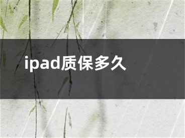 ipad质保多久