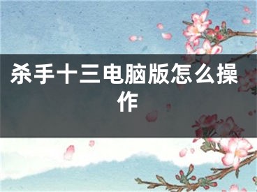 杀手十三电脑版怎么操作