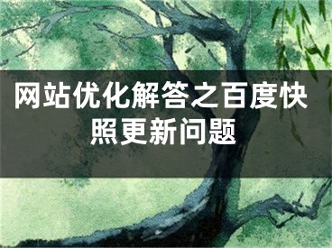 网站优化解答之百度快照更新问题