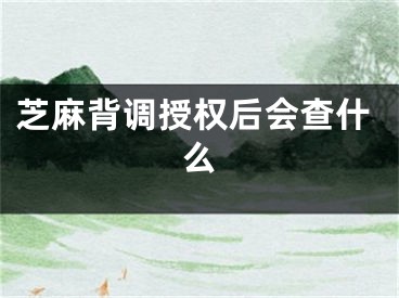 芝麻背调授权后会查什么