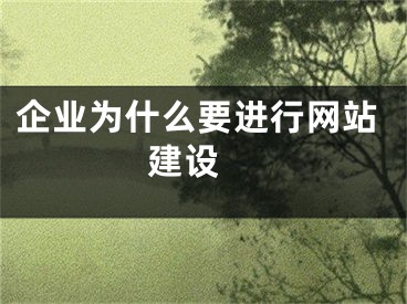 企业为什么要进行网站建设 