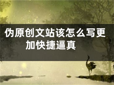 伪原创文站该怎么写更加快捷逼真 