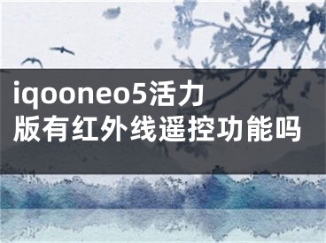 iqooneo5活力版有红外线遥控功能吗