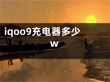 iqoo9充电器多少w