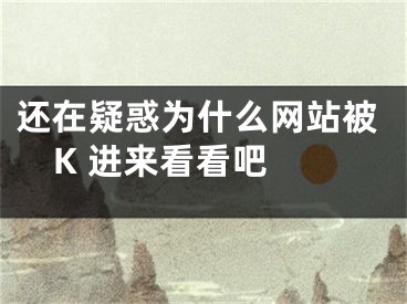 还在疑惑为什么网站被K 进来看看吧  