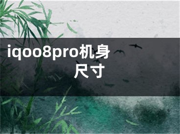 iqoo8pro机身尺寸