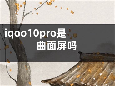 iqoo10pro是曲面屏吗