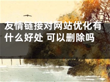 友情链接对网站优化有什么好处 可以删除吗 