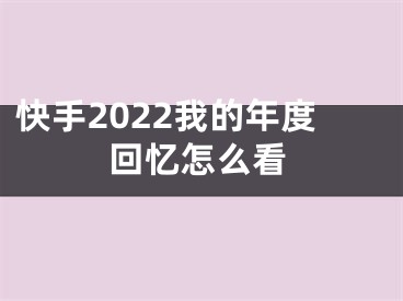 快手2022我的年度回忆怎么看