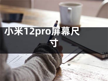 小米12pro屏幕尺寸