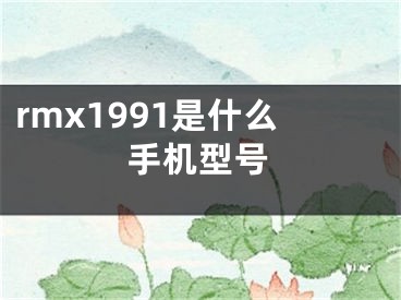 rmx1991是什么手机型号