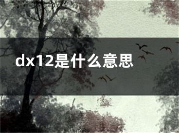 dx12是什么意思