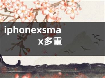 iphonexsmax多重