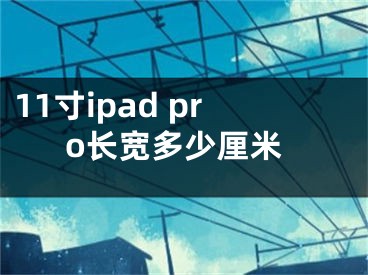 11寸ipad pro长宽多少厘米