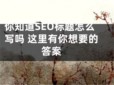 你知道SEO标题怎么写吗 这里有你想要的答案 