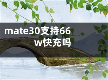 mate30支持66w快充吗