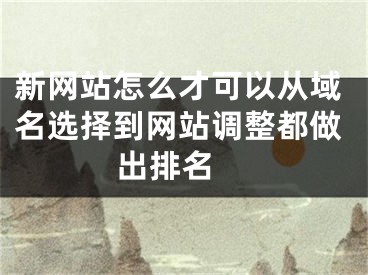 新网站怎么才可以从域名选择到网站调整都做出排名 