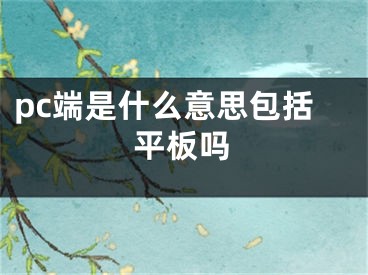 pc端是什么意思包括平板吗