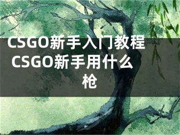 CSGO新手入门教程 CSGO新手用什么枪