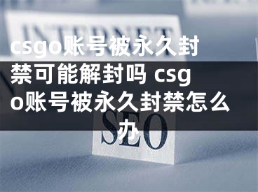 csgo账号被永久封禁可能解封吗 csgo账号被永久封禁怎么办