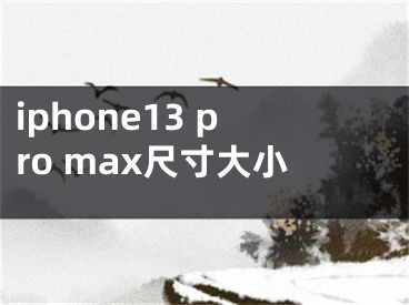 iphone13 pro max尺寸大小