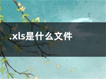 .xls是什么文件