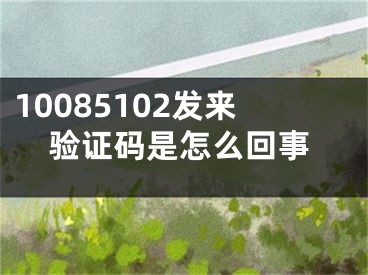 10085102发来验证码是怎么回事