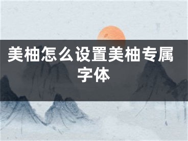 美柚怎么设置美柚专属字体