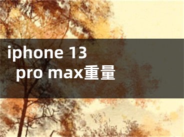 iphone 13 pro max重量