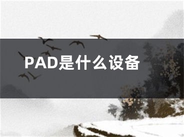 PAD是什么设备