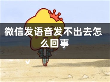 微信发语音发不出去怎么回事