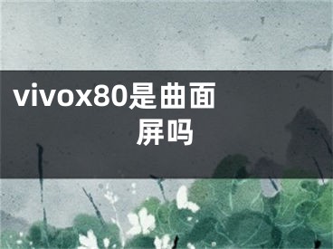 vivox80是曲面屏吗