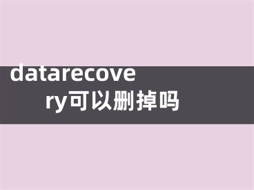 datarecovery可以删掉吗