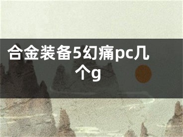 合金装备5幻痛pc几个g