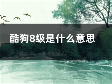 酷狗8级是什么意思