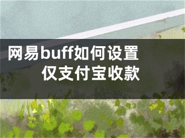 网易buff如何设置仅支付宝收款