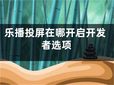 乐播投屏在哪开启开发者选项