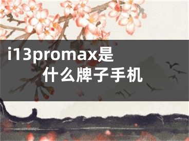 i13promax是什么牌子手机