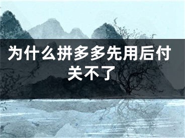 为什么拼多多先用后付关不了