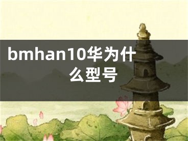bmhan10华为什么型号