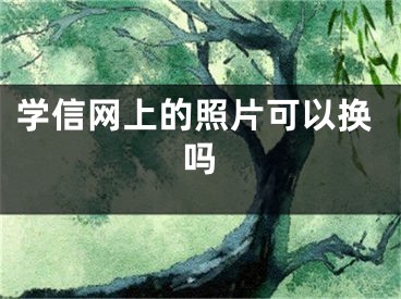 学信网上的照片可以换吗